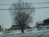 DSC09293.JPG