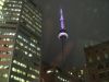 DSC09424.JPG