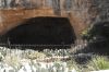Picture_20087.jpg