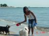 Lake_erie1.jpg