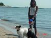 Lake_erie2.jpg