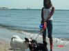 Lake_erie3.jpg