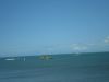 Picture_20010.jpg