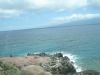 Picture_20040.jpg