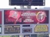 bucs_dolphins21.jpg
