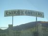 calico1.jpg
