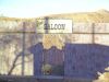 calico22.jpg