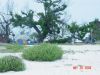 drytortugas7.jpg