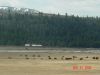 grandteton48.JPG