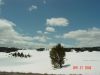 grandteton57.JPG