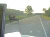 OHIO10.jpg