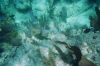 keylargo7.JPG