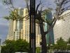 DSC00090.JPG