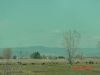 yellowstone1.JPG