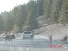 yellowstone110.JPG