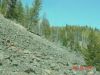 yellowstone14.JPG