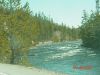 yellowstone18.JPG