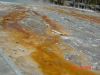 yellowstone27.JPG