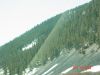 yellowstone3.JPG