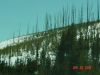 yellowstone5.JPG