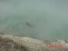 yellowstone69.JPG