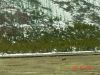 yellowstone8.JPG