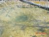 yellowstone82.JPG