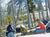 yellowstone87.JPG
