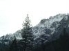 yosemite36.JPG