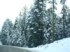 yosemite4.JPG