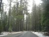 yosemite53.JPG