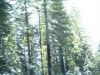 yosemite6.JPG
